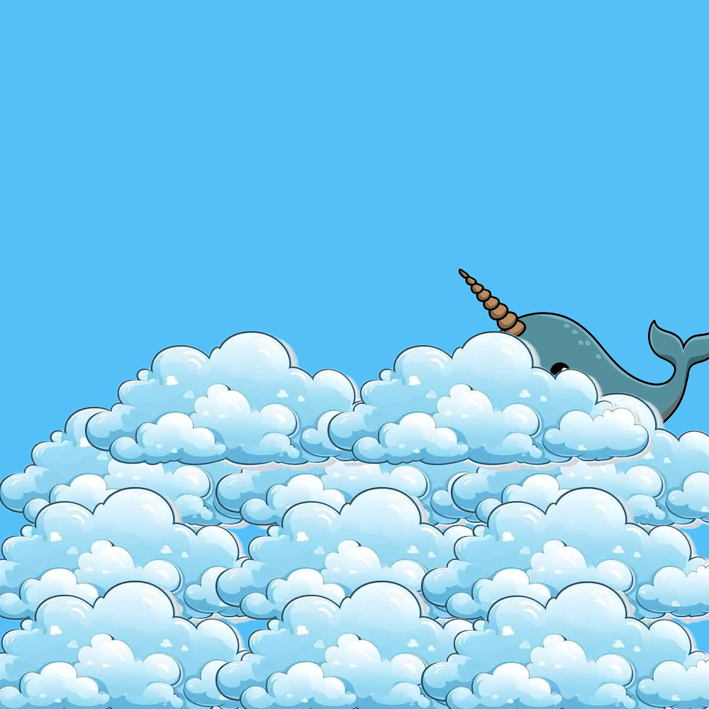 narwhal